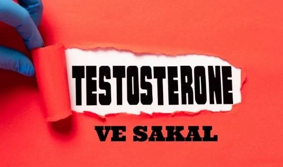 Sakal ve Testosteron İlişkisi