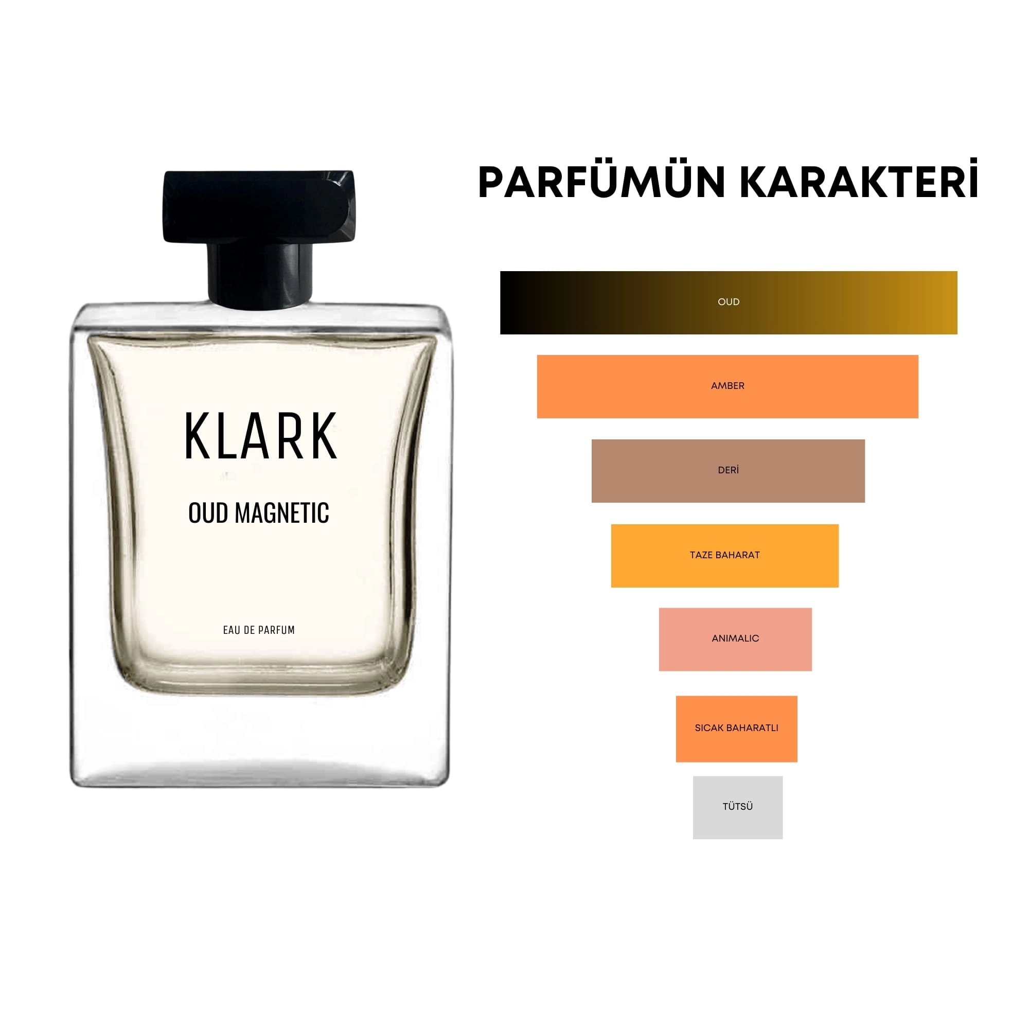 Oud Magnetic - 50 ml Edp Parfüm