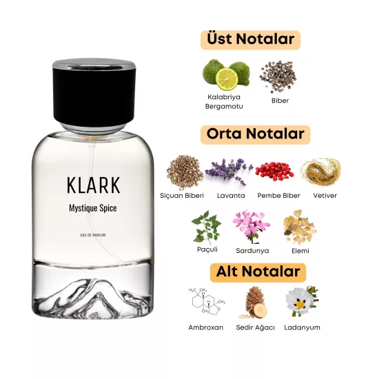 Mystique Spice Erkek Parfümü | 50 ml EDP