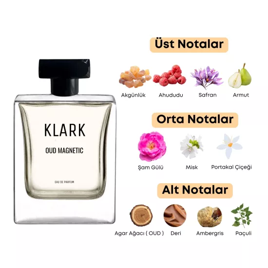 Oud Magnetic Erkek Parfümü | 50 ml EDP